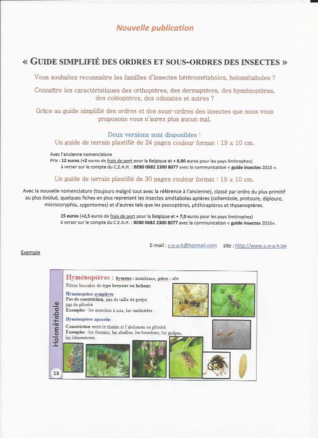 2019 - Scan pub insectes